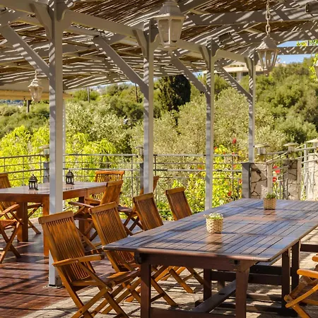 Costa Avithos