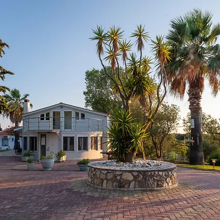 Costa Avithos スヴォロナータ