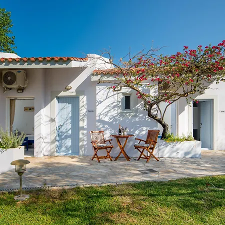 Costa Avithos